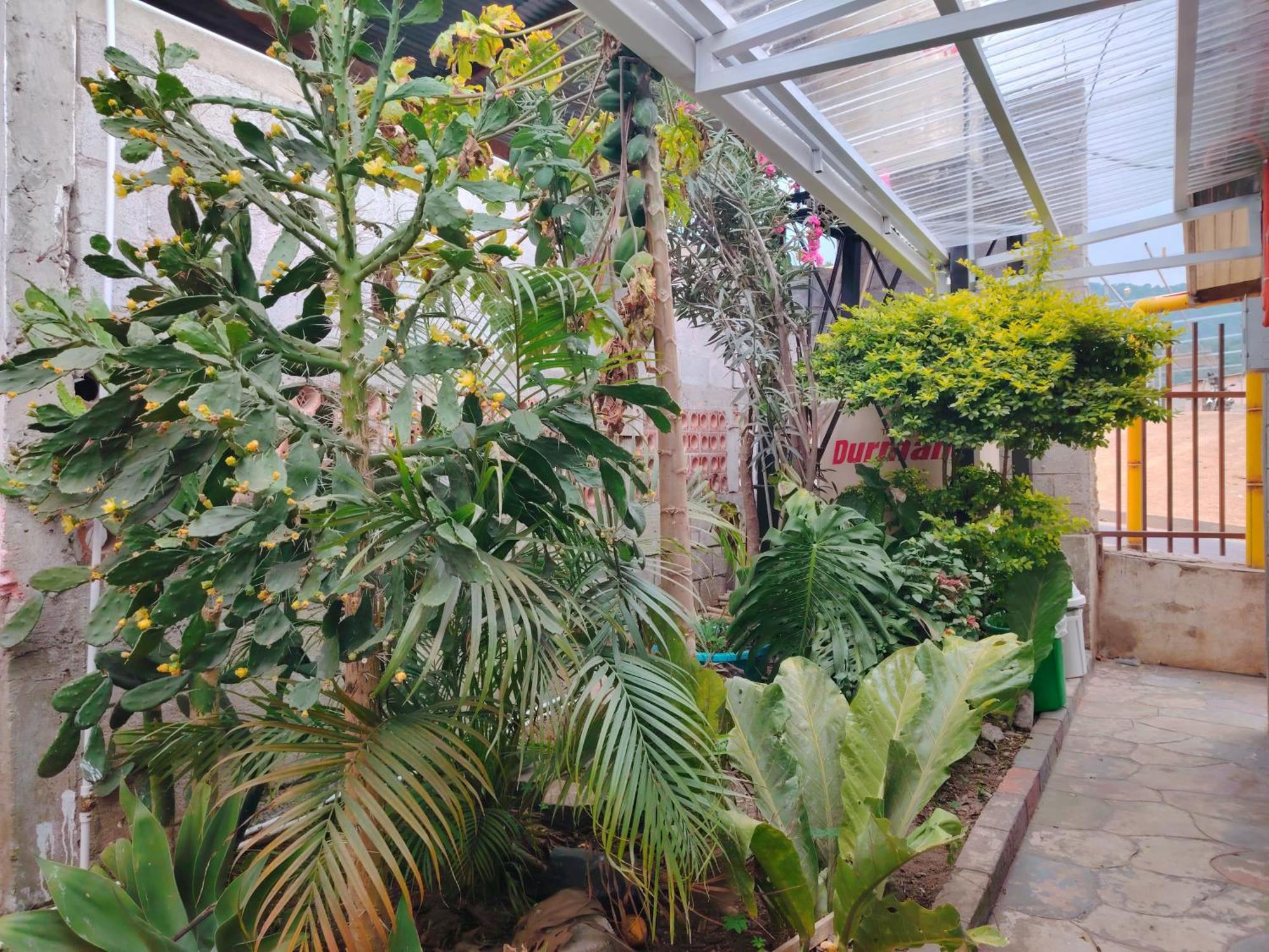 El Chirris B&B San Juan La Laguna Εξωτερικό φωτογραφία